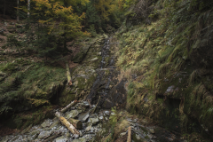 Dinamiche naturali
© Julian Stettler