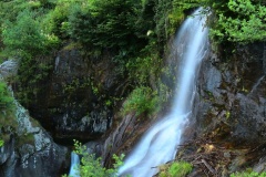 La cascata nel bosco
© Catherine Decarli