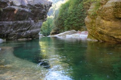 Isorno