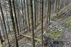 Riserva-forestale-Onsernone-©-Roberto-Buffi-10-scaled