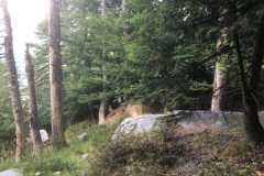 Riserva-forestale-Onsernone-©-Roberto-Buffi-15-scaled
