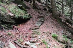 Riserva-forestale-Onsernone-©-Roberto-Buffi-3-scaled