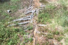 Riserva-forestale-Onsernone-©-Roberto-Buffi-6-scaled