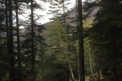 Riserva-forestale-Onsernone-©-Roberto-Buffi-9-scaled